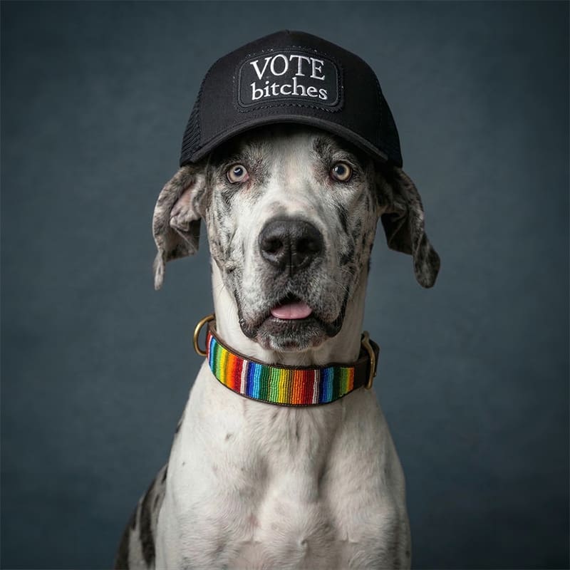 VOTE Bitches Trucker Hat - Image 5